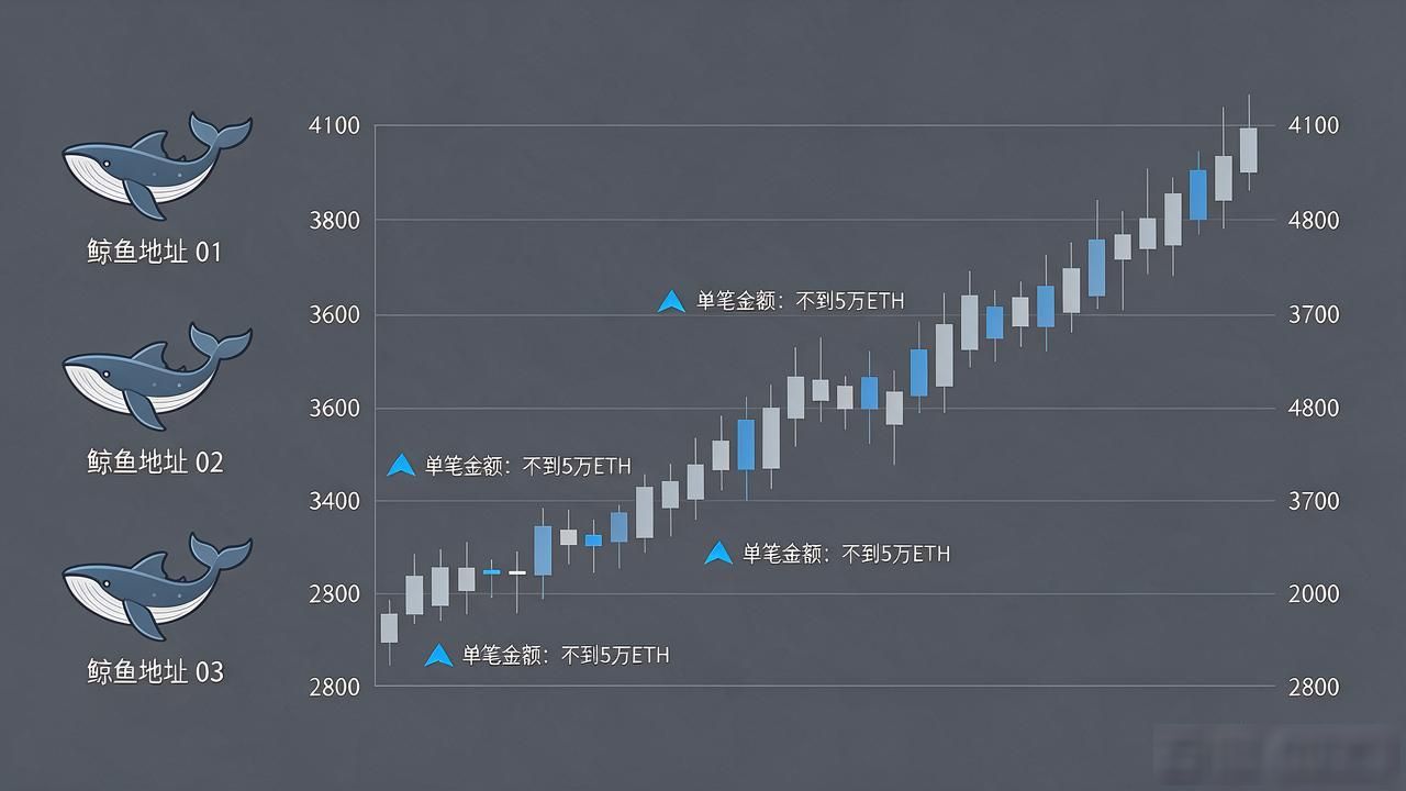聪明钱图片怎么读？数字货币鲸鱼钱包大额资金流向追踪实操
