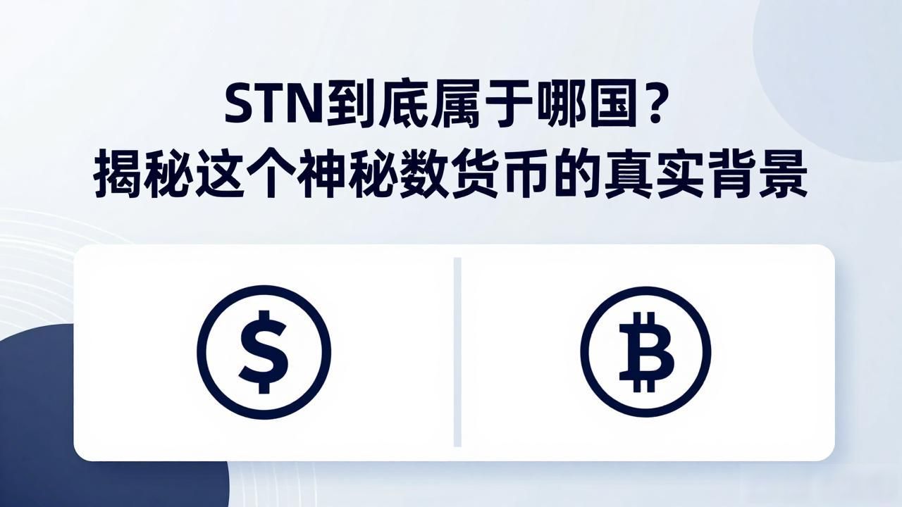 STN到底属于哪国？揭秘这个神秘数字货币的真实背景